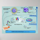 Search for method posters Diagram