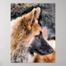 Search for german shepherd posters Cute dogs