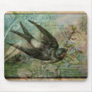Search for macbook postcards Bird