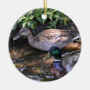 Search for duck christmas tree decorations Mallards