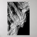 Search for star shaped posters Nature