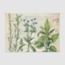 Search for watercolor tissue paper Ephemera