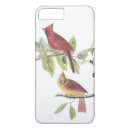 Search for cardinals iphone cases Branch