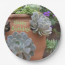 Search for succulent plates Party