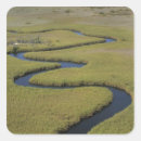 Search for botswana stickers Wildlife