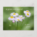 Search for gentleness postcards Flowers