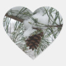 Search for pine branch stickers Snow