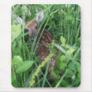 Search for doe mousepads Animals