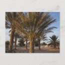 Search for sahara desert postcards Tourism