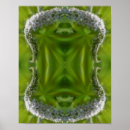 Search for wildflower abstract posters Floral