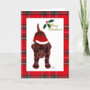 Search for chocolate labrador christmas cards Cute