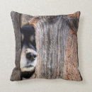 Search for german shepherd cushions Animal