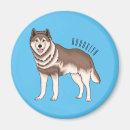 Search for huskies magnets Pets
