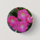 Search for petunia badges Flowers