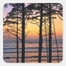 Search for olympic stickers Nature