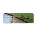 Search for wire return address labels Animal