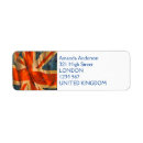 Search for scotland return address labels United kingdom