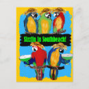 Search for party parrots postcards Pets