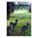 Search for fuzzy cards Chick