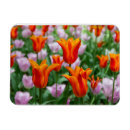 Search for orange tulip posters Photography