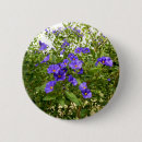 Search for eyed accessories Plant