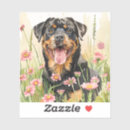 Search for rottweil stickers For pets