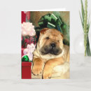 Search for shar pei christmas cards Chinese