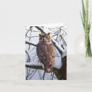 Search for owl note cards Winter