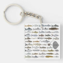 Search for freshwater key rings Fish