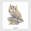 Search for screech stickers Wildlife