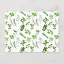 Search for culinary postcards Botanical