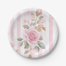 Search for paris paper plates Stripes