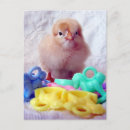 Search for birth announcement postcards Adorable