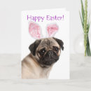 Search for pug easter cards Puppy