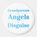 Search for nonno magnets Grandfather