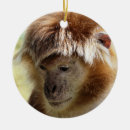 Search for cute monkeys christmas tree decorations Nature
