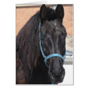 Search for percheron cards Black