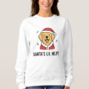 Search for golden retriever hoodies Puppy love