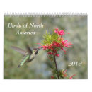 Search for watcher photography Ornithology