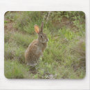 Search for cottontail mousepads Cute
