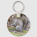 Search for digital animals key rings Squirrel
