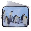Search for penguin laptop cases Animal