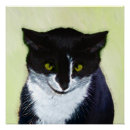 Search for tuxedo cat posters Kitten