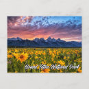 Search for grand teton mountains postcards Photography