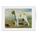 Search for wire fox terrier cards Pets
