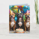 Search for staffy cards Cake