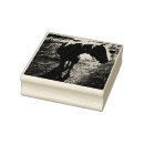 Search for halter Pony