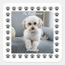 Search for dog picture stickers For kids