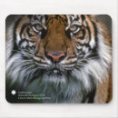 Search for smithsonian electronics Animals