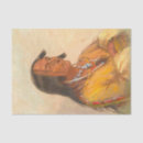 Search for native american tissue paper Tribal